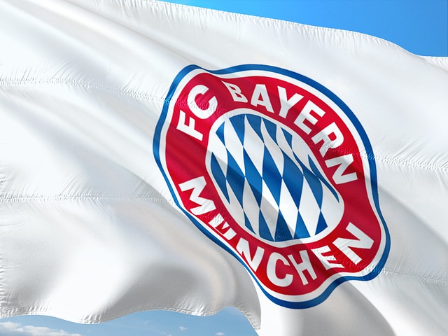 Die zahlungskräftigsten Sponsoren der Bundesliga - myfussi.de